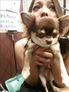 愛羽 仁美