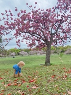 かおり