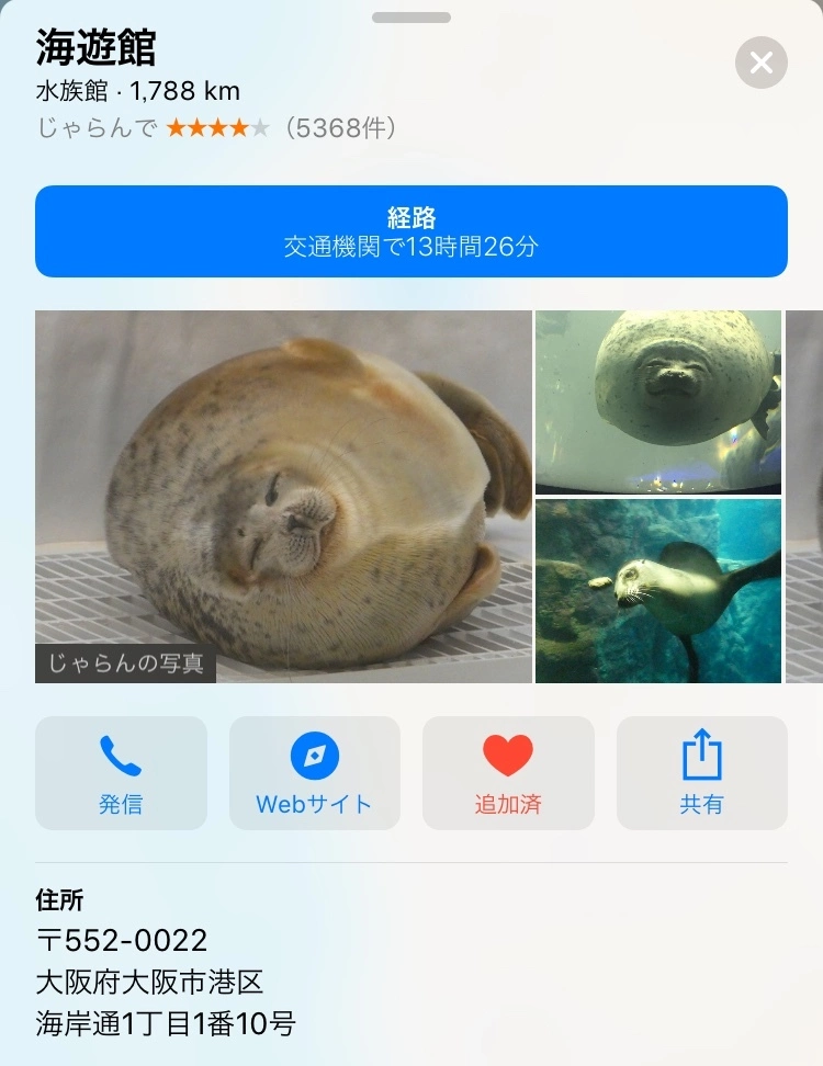 七星 夏純