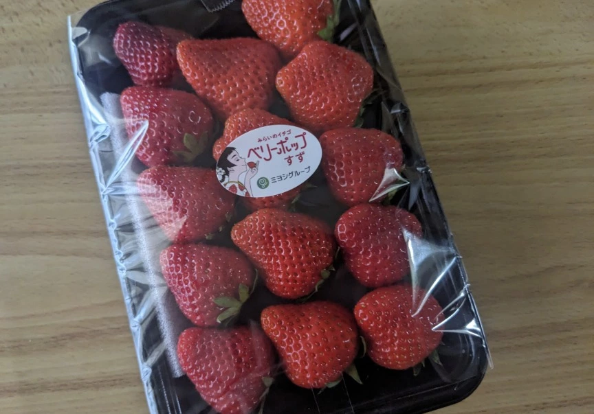 五条 椿