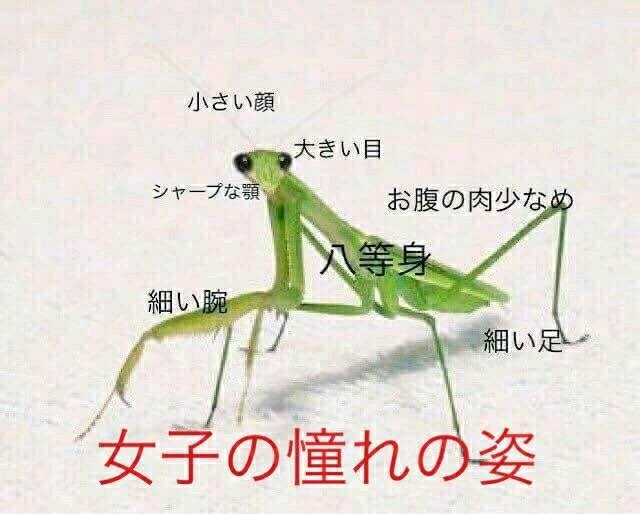 あのちゃん