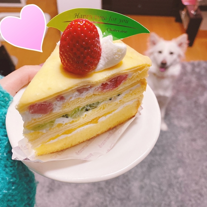 京 さゆみ