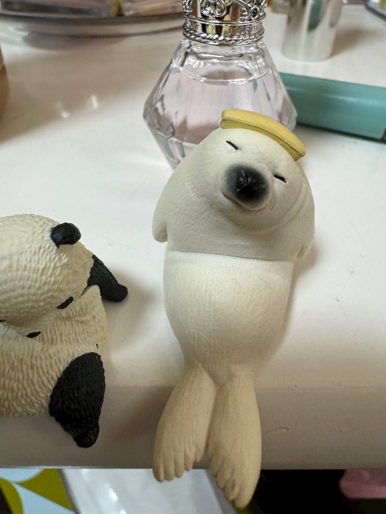 葉山 ゆうり