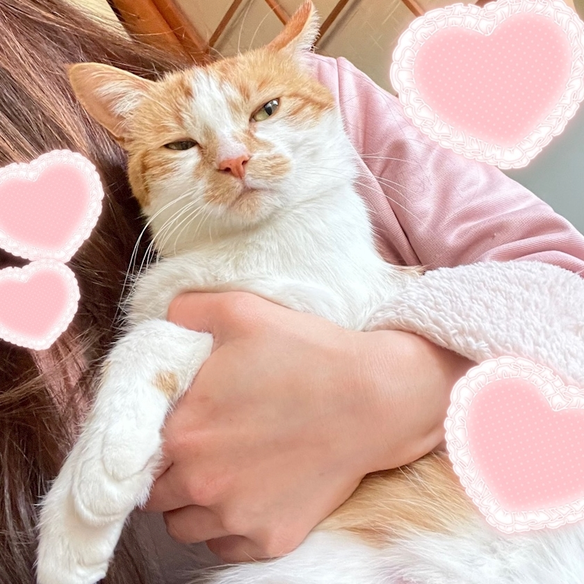 一条 るり