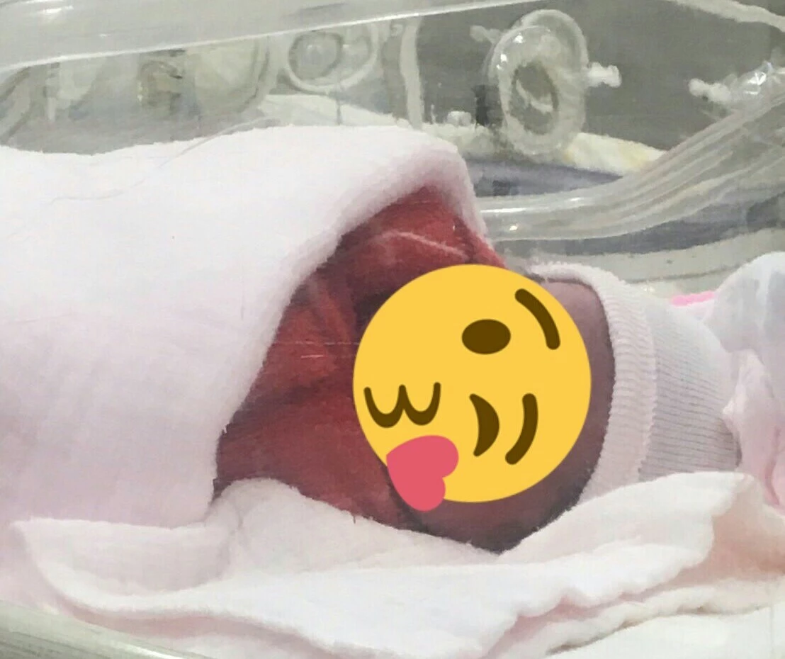 らん