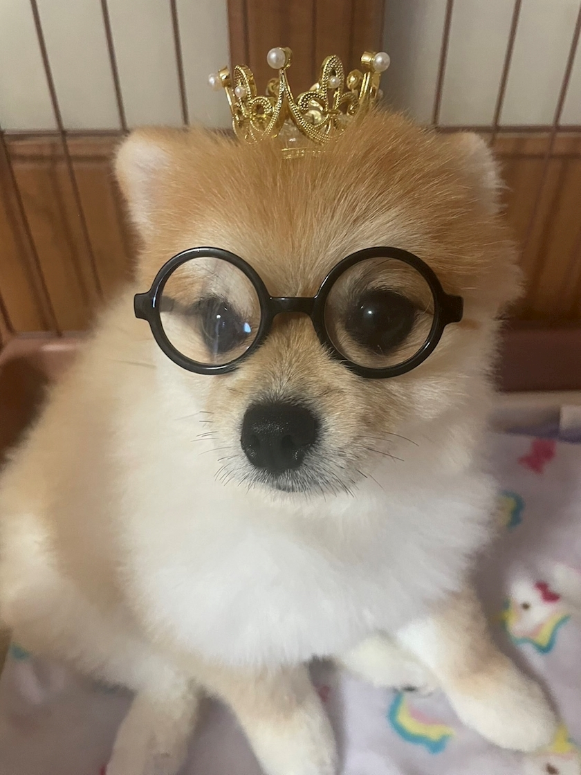 柏木 唯愛