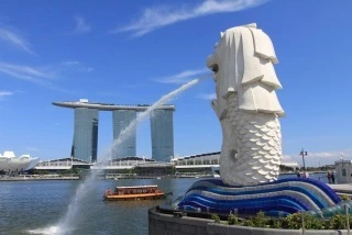 五条 椿