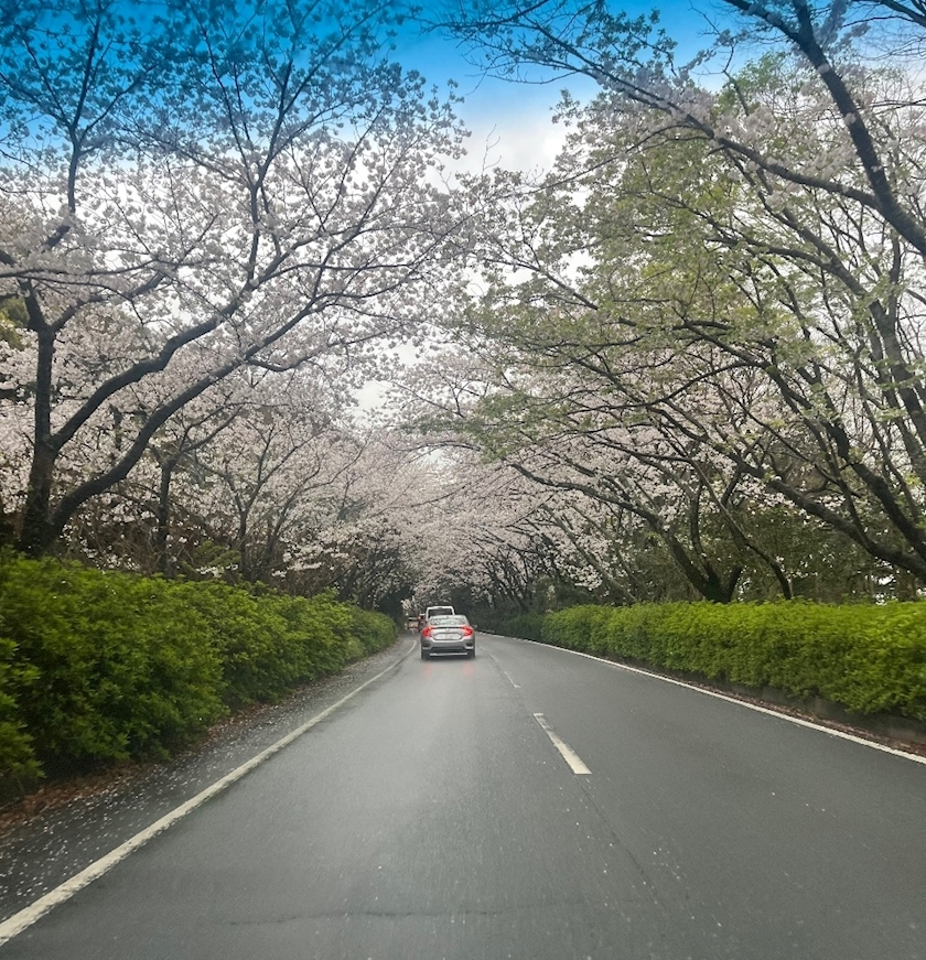 一心 あかね