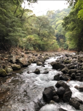 宝條 夏恋