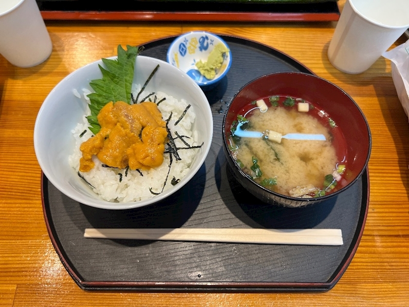 藤城 あん