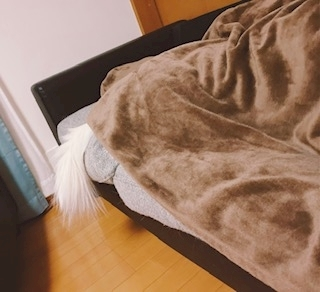 京 さゆみ