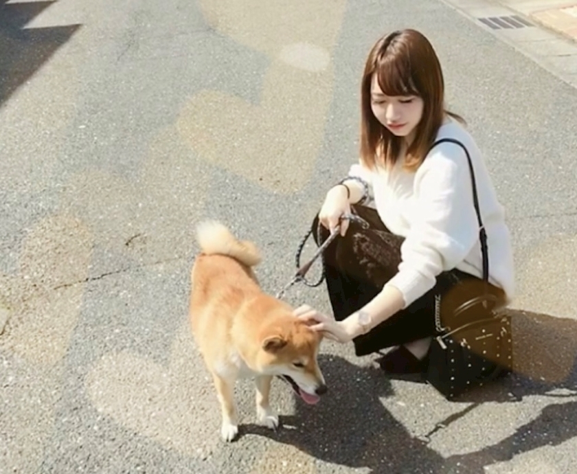 藤城 あん