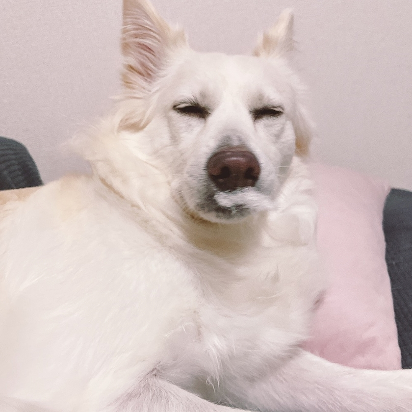 京 さゆみ