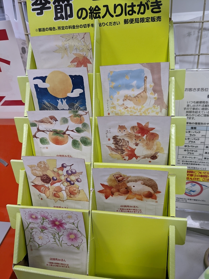 涼宮 しずか
