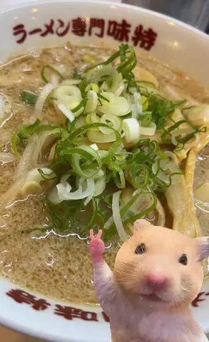 七星 夏純