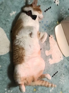 なつ