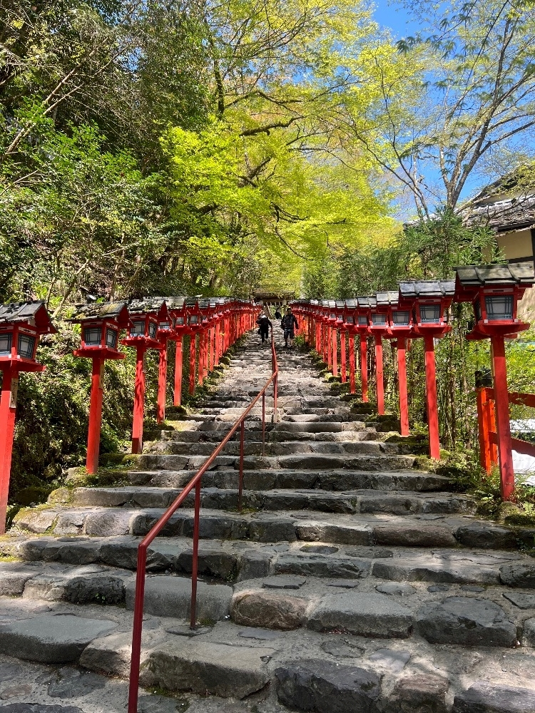 姫花
