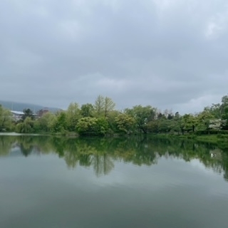 成海 まお