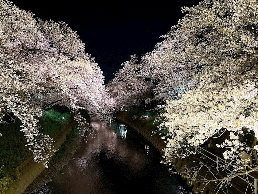 愛川 ゆず