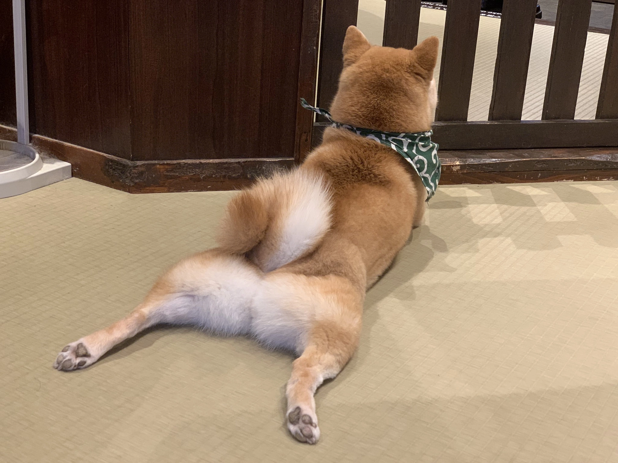 冬乃 ゆき