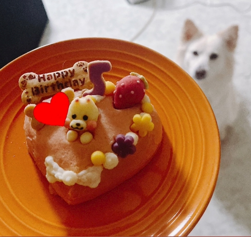 京 さゆみ