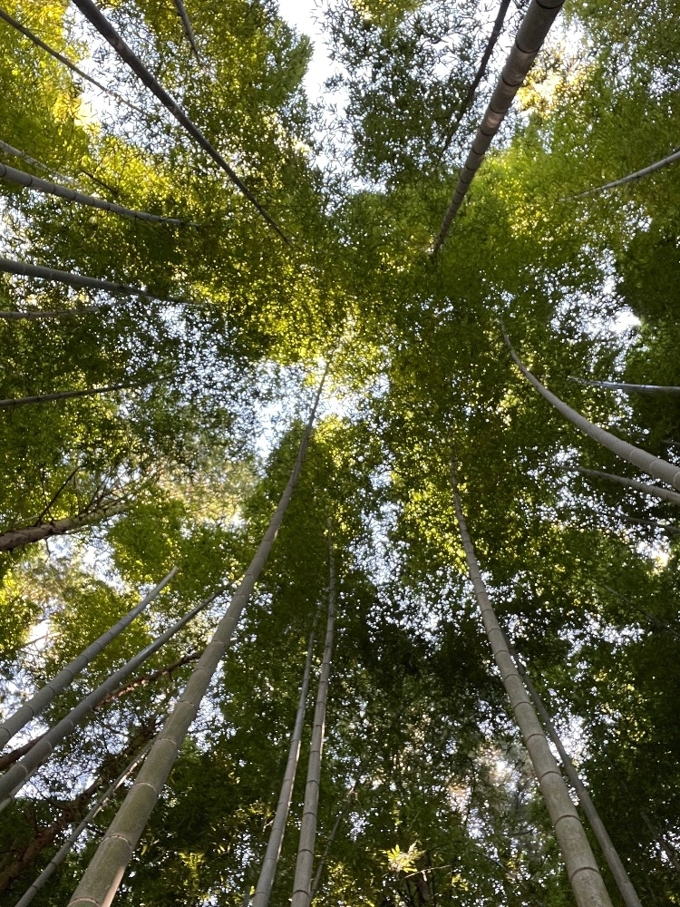 出海    なつ