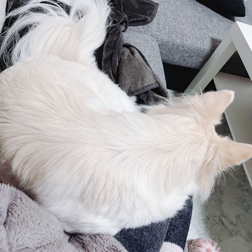 京 さゆみ