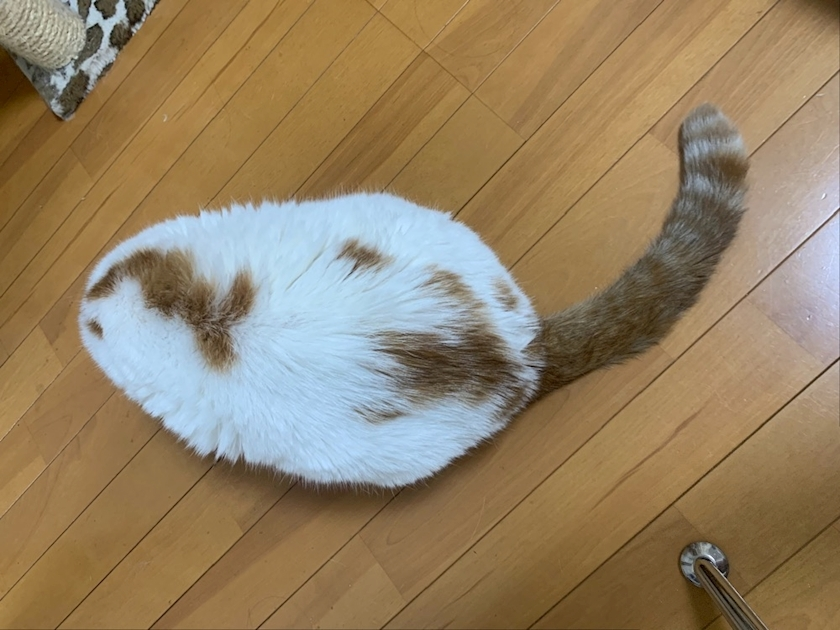 れみ