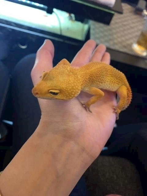 妃乃 すず