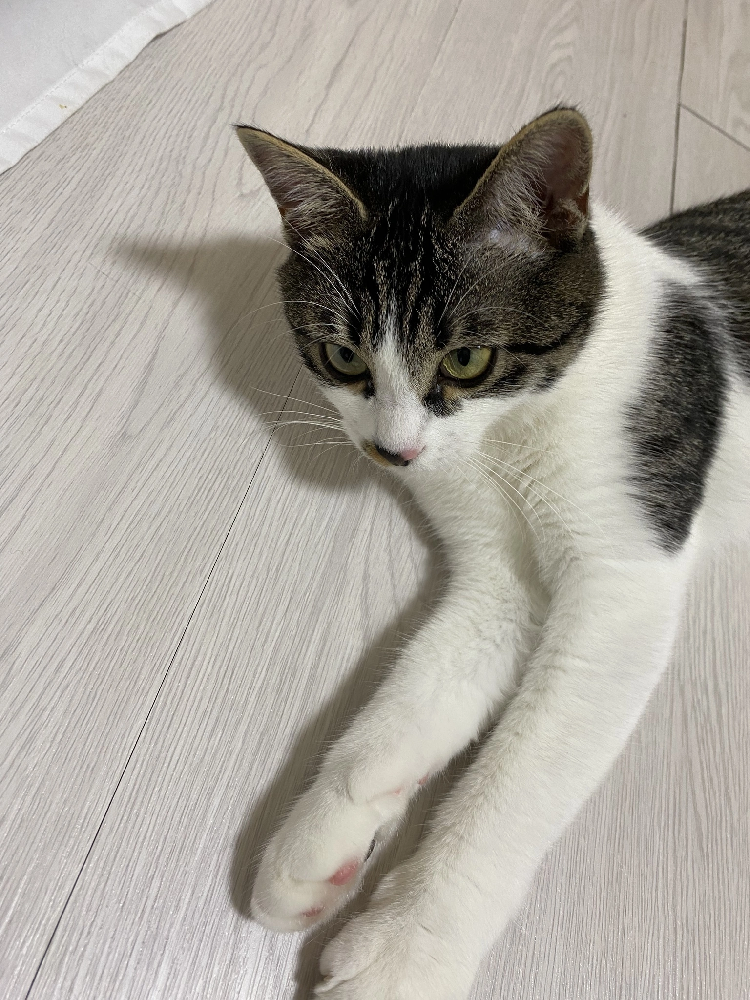 あきら