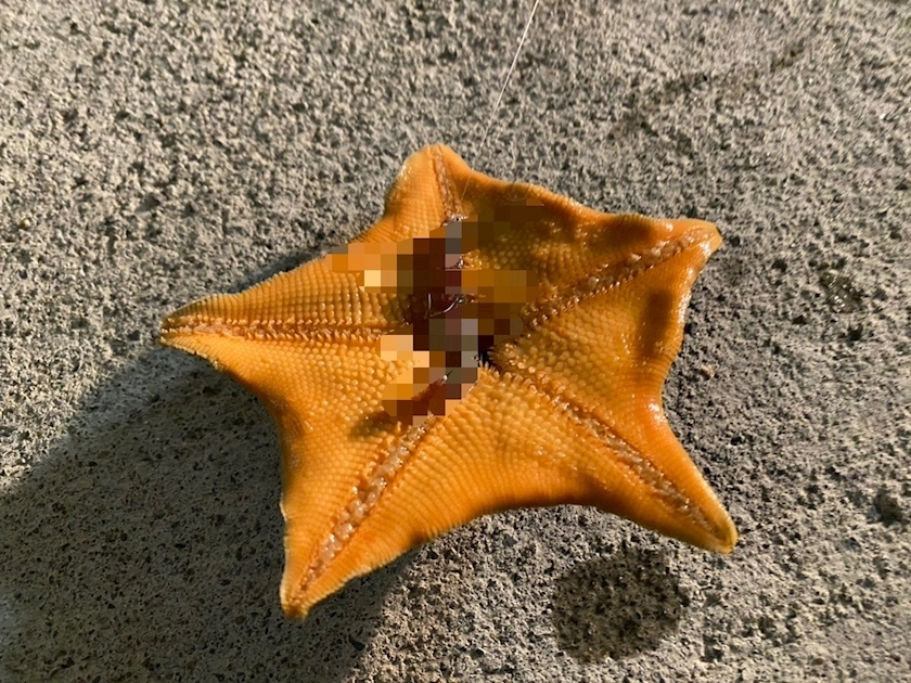 りと