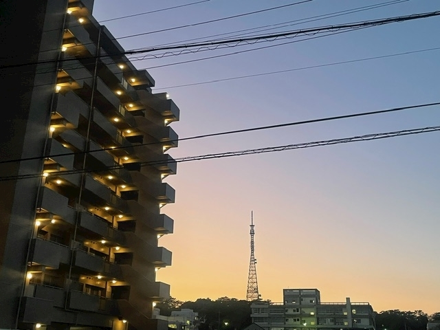 椎名 くるみ