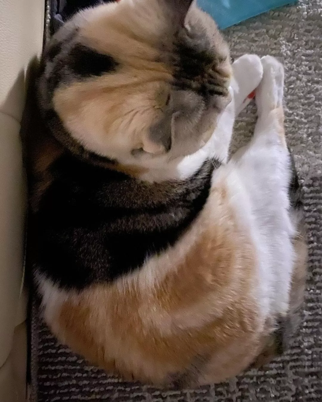 みつき