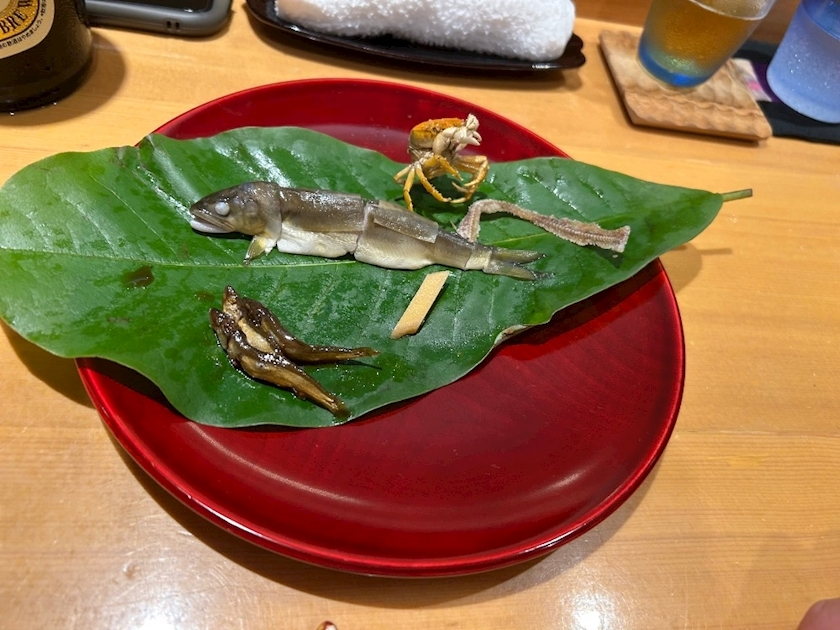 八神 ゆうこ