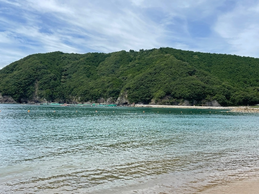 朝倉 しおり