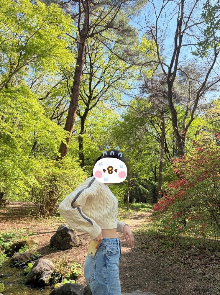 あみ