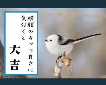 ひな