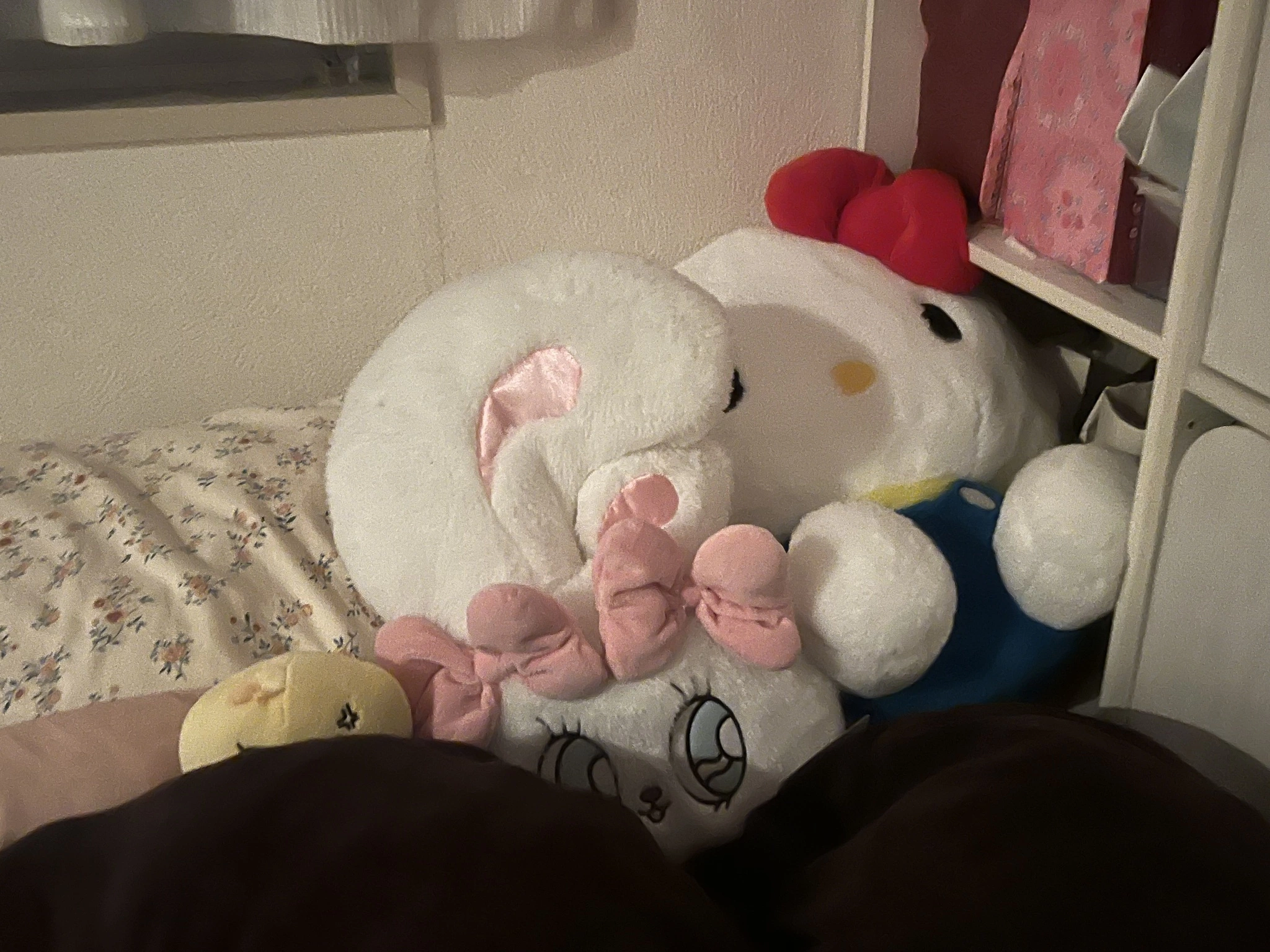 しゃけ