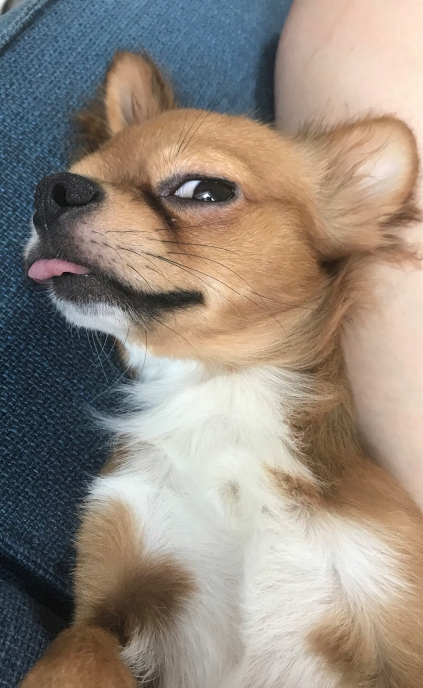 ユカ