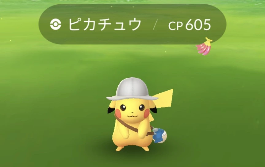 五条 椿