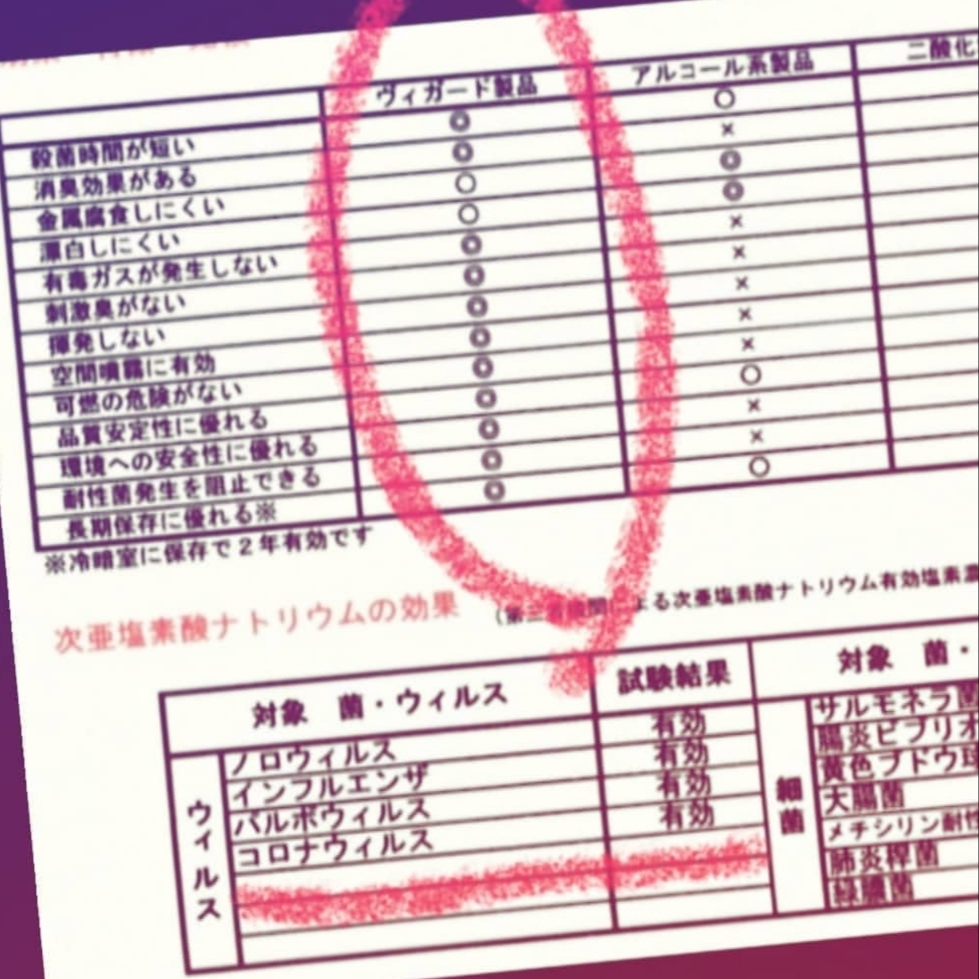 紫音