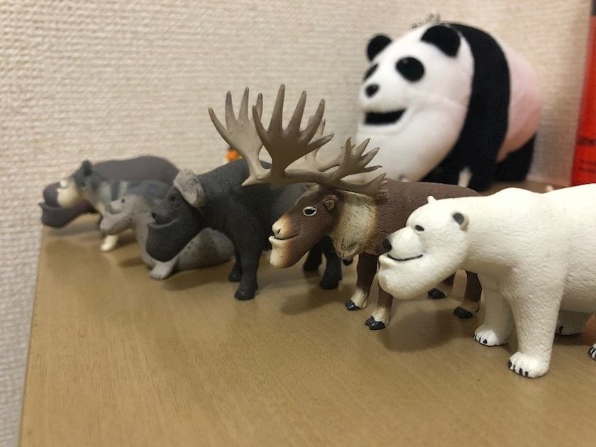 あり