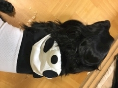 りえ