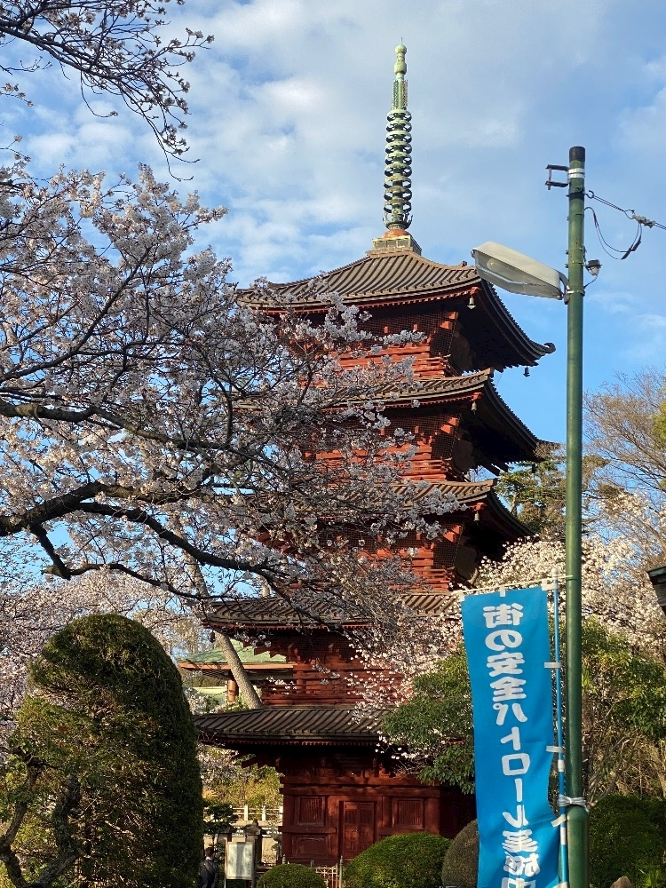 りん