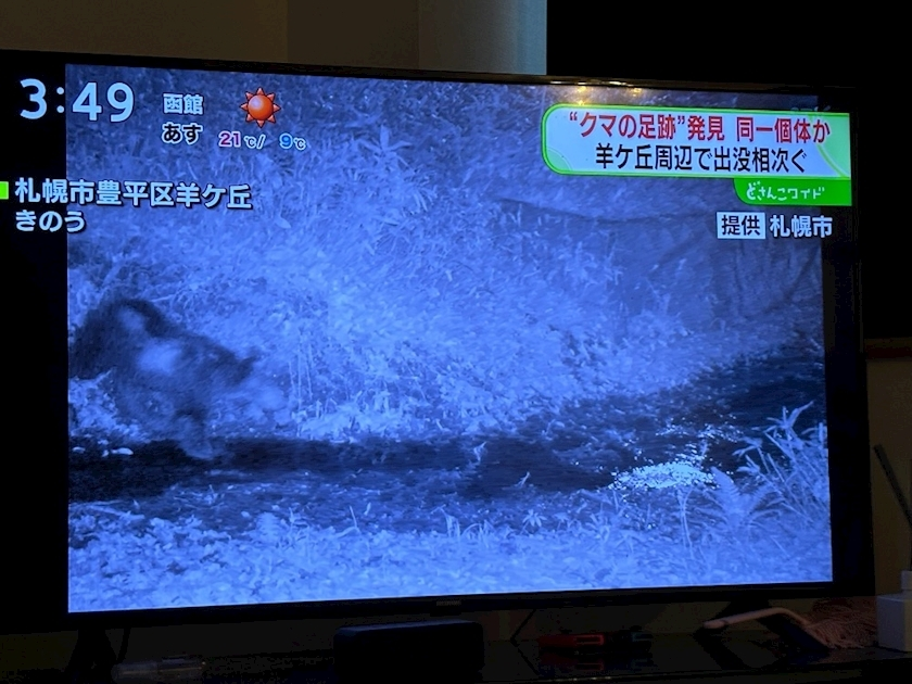 佐倉 里緒