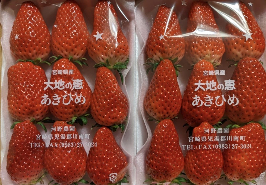 五条 椿