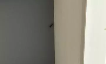 神永 莉聖