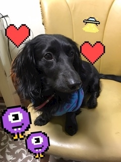りえ