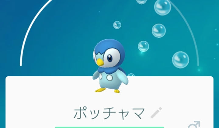 五条 椿