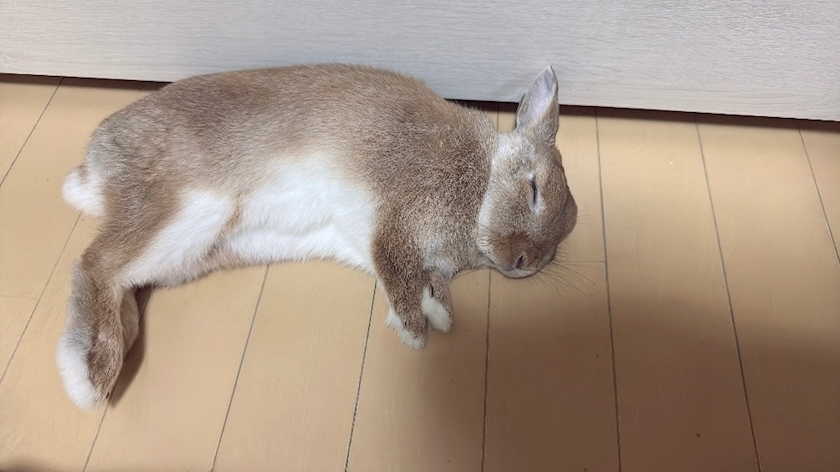 かのん